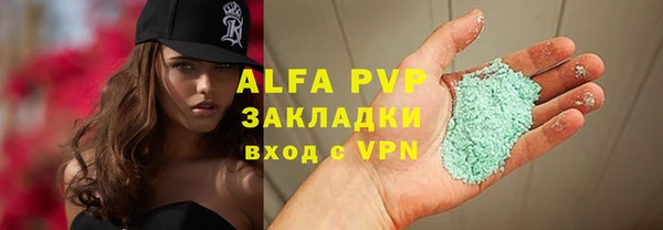 стафф Алзамай