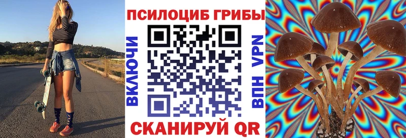 где найти Нижнекамск Псилоцибиновые грибы Psilocybe
