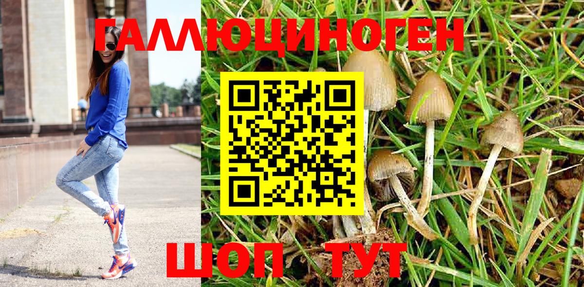 Псилоцибиновые грибы мухоморы  Вход с VPN  Нижнекамск 